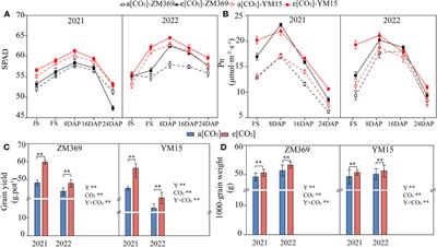 Effects of elevated atmospheric [CO2] on grain starch characteristics in different specialized wheat